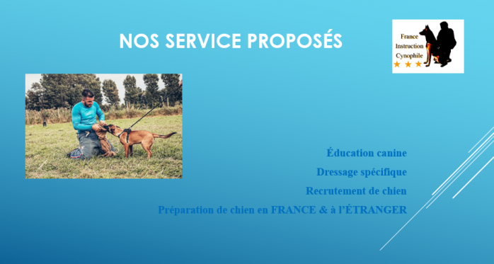 France instruction cynophile 001