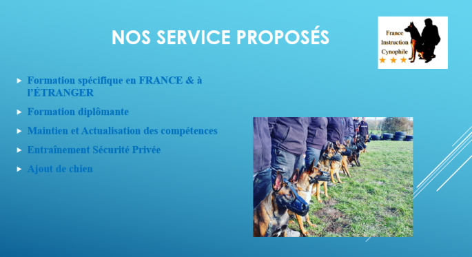 France instruction cynophile 002